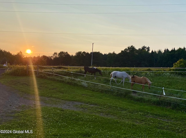 yard at dusk with a rural view