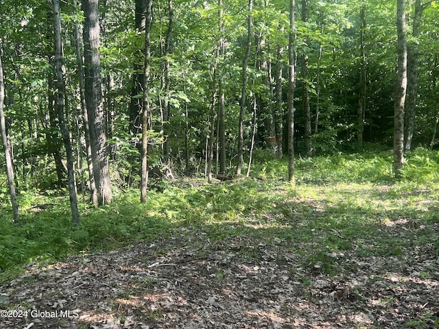 L45 Burdick Rd, Ssd, Johnstown NY, 12078 land for sale