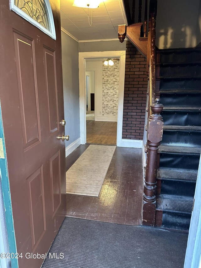 foyer with dark hardwood / wood-style flooring and ornamental molding