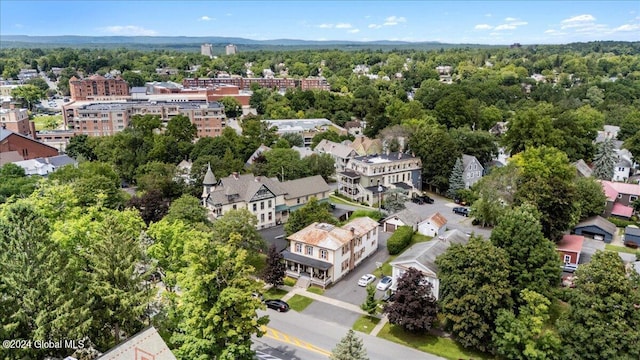 107-109 Lake Ave, Saratoga Springs, Inside, NY 12866 - aerial view