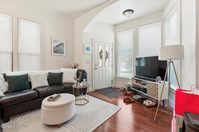 living room with ornamental molding and wood-type flooring