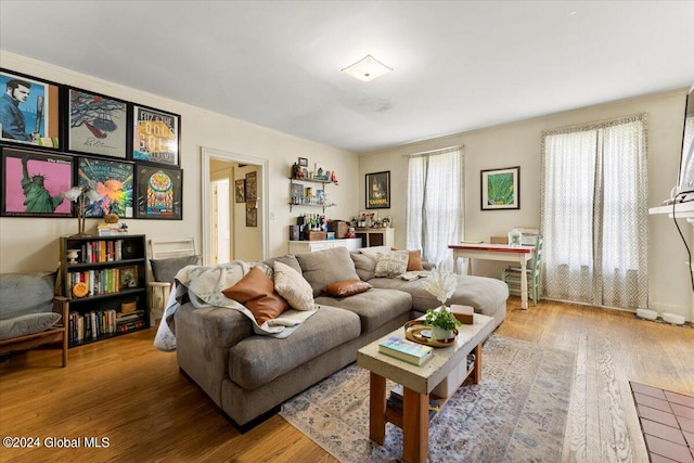 living room featuring hardwood / wood-style flooring