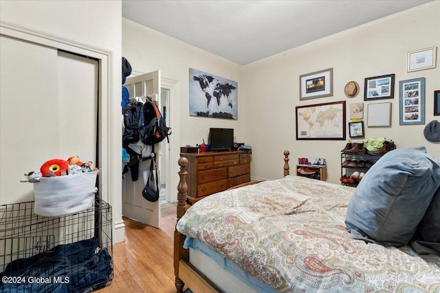 bedroom with a closet and wood-type flooring