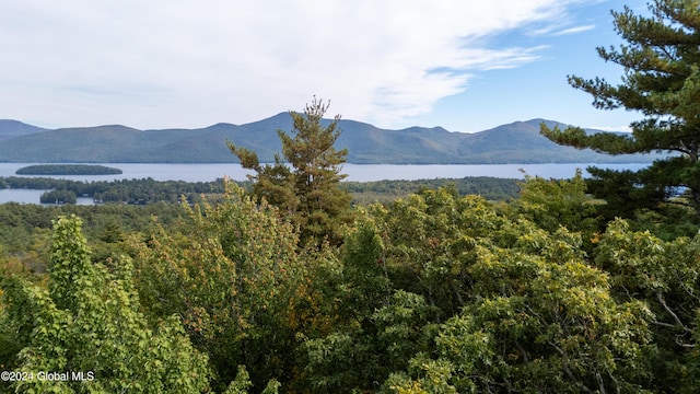 98 Longview Ln, Bolton, NY 12814 - photo 5
