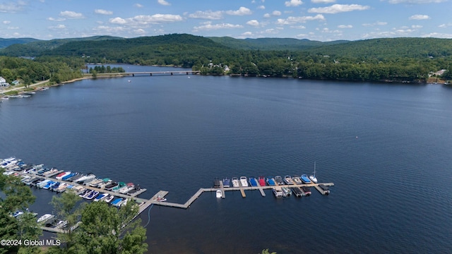 birds eye view of property featuring a water and mountain view