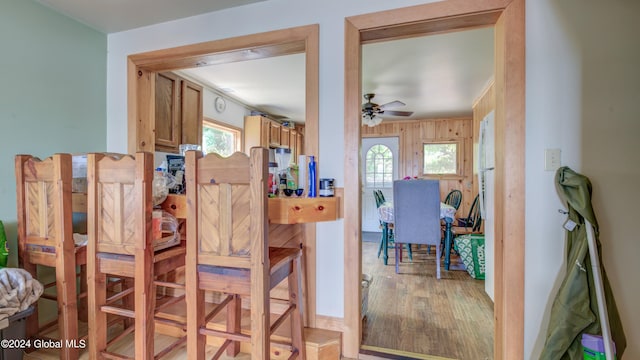 dining space featuring a healthy amount of sunlight, wooden walls, light wood-type flooring, and ceiling fan