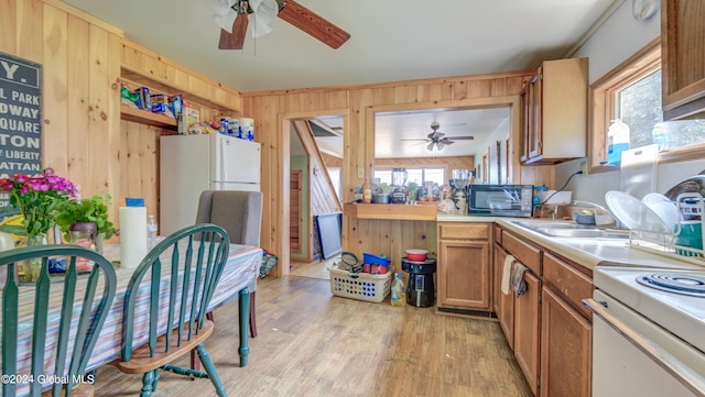 kitchen featuring wood walls, light hardwood / wood-style flooring, a wealth of natural light, and ceiling fan