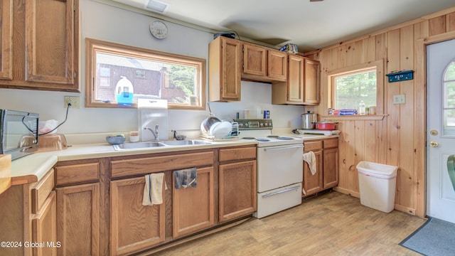 kitchen with sink, white electric range oven, wooden walls, and light hardwood / wood-style floors