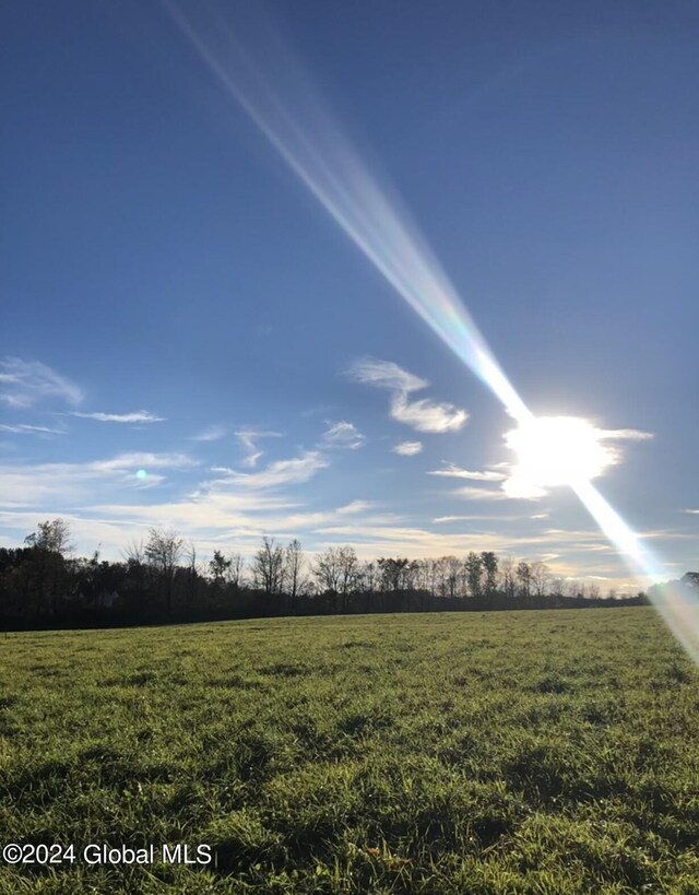 189 Flood Rd, Westerlo, NY 12193 - view of local wilderness with a rural view