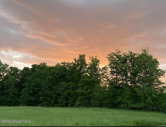 189 Flood Rd, Westerlo, NY 12193 - view of nature at dusk