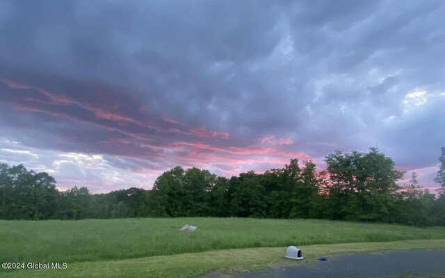 189 Flood Rd, Westerlo, NY 12193 - exterior space