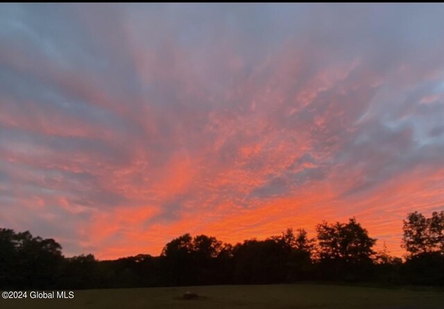 189 Flood Rd, Westerlo, NY 12193 - view of nature at dusk