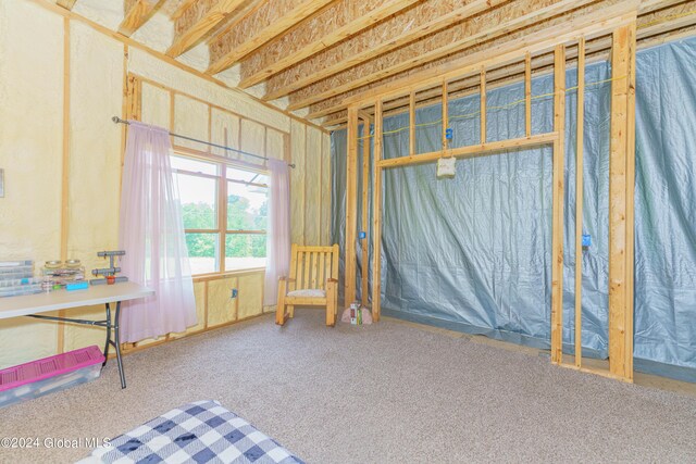 189 Flood Rd, Westerlo, NY 12193 - miscellaneous room with carpet flooring