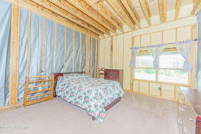 189 Flood Rd, Westerlo, NY 12193 - bedroom with carpet floors
