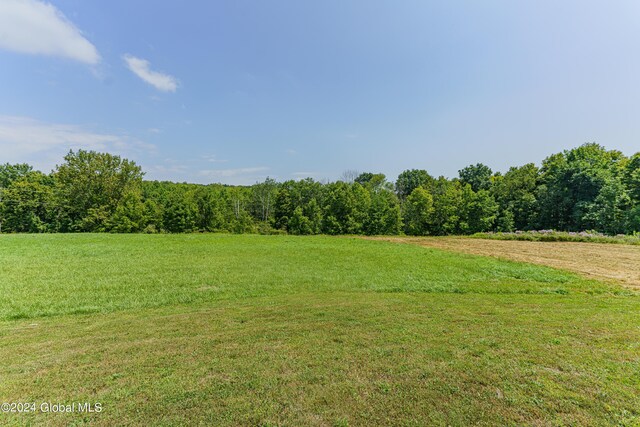 189 Flood Rd, Westerlo, NY 12193 - view of yard
