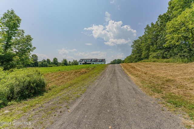 189 Flood Rd, Westerlo, NY 12193 - view of road