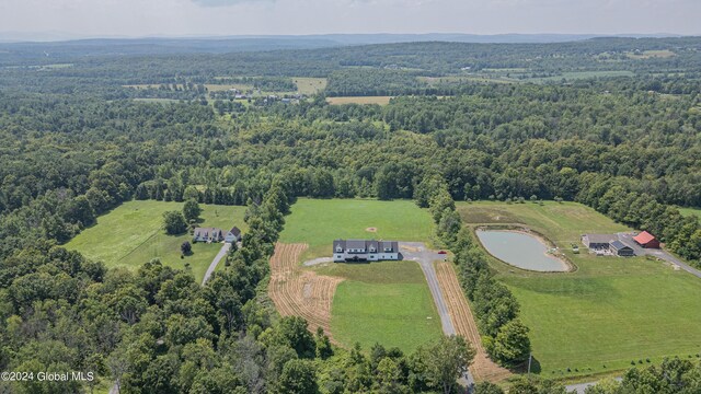 189 Flood Rd, Westerlo, NY 12193 - aerial view with a water view