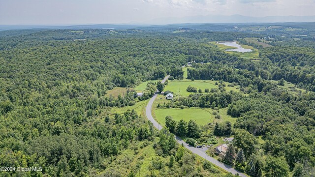 189 Flood Rd, Westerlo, NY 12193 - bird's eye view
