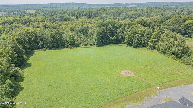 189 Flood Rd, Westerlo, NY 12193 - birds eye view of property