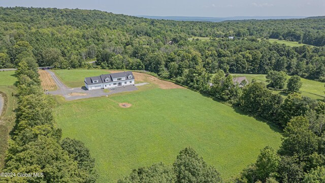 189 Flood Rd, Westerlo, NY 12193 - birds eye view of property with a rural view