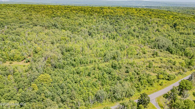 189 Flood Rd, Westerlo, NY 12193 - drone / aerial view