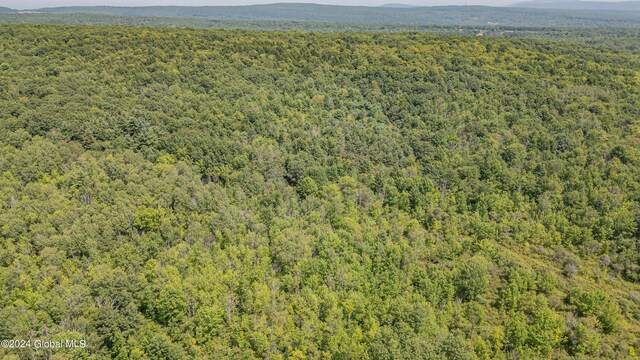 189 Flood Rd, Westerlo, NY 12193 - birds eye view of property