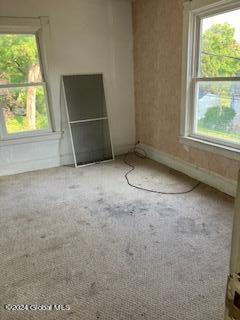 carpeted spare room with a wealth of natural light