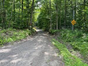 Listing photo 3 for L1.1 Davignon Rd, Corinth NY 12822