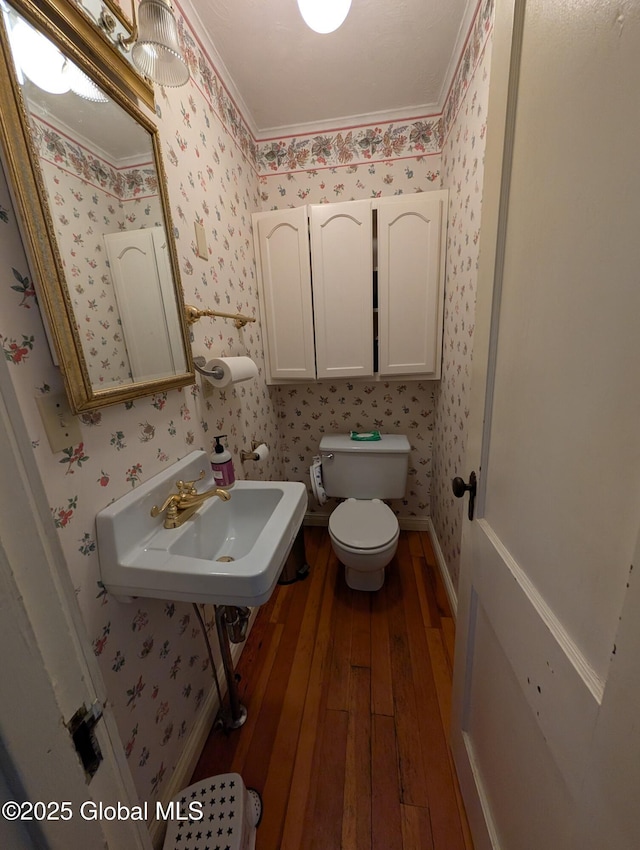 bathroom with wallpapered walls, toilet, wood-type flooring, and a sink