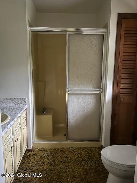 bathroom with toilet, a shower stall, and vanity