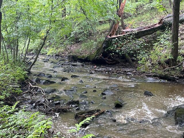 view of local wilderness featuring a wooded view