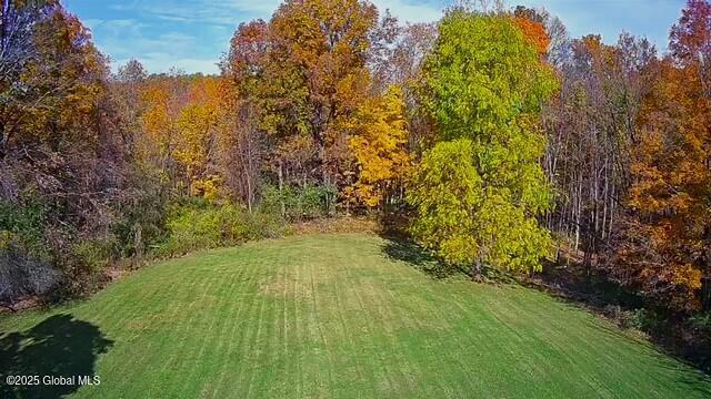 view of yard with a view of trees