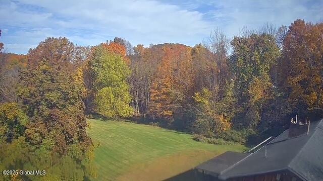 view of mountain feature with a wooded view