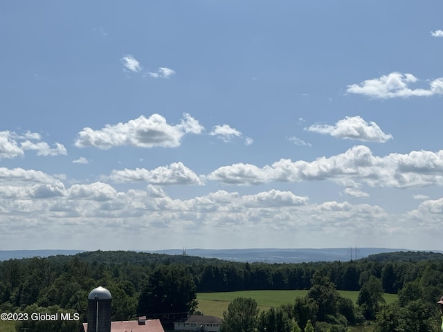 property view of mountains with a view of trees