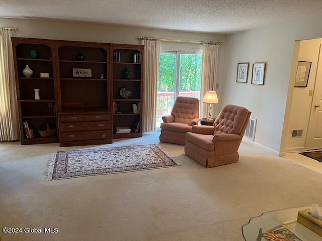 sitting room with light colored carpet and a textured ceiling