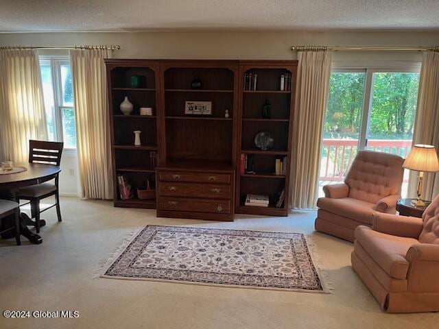 sitting room with a healthy amount of sunlight, light carpet, and a textured ceiling