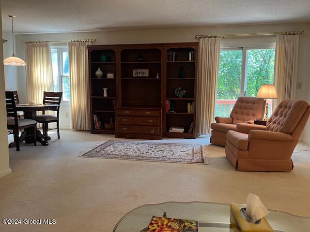 living room featuring a wealth of natural light, light colored carpet, and a textured ceiling