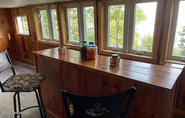 interior space with wooden counters and wood walls