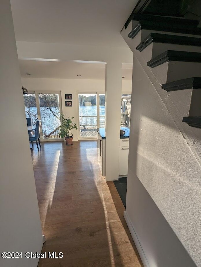 hallway with wood-type flooring