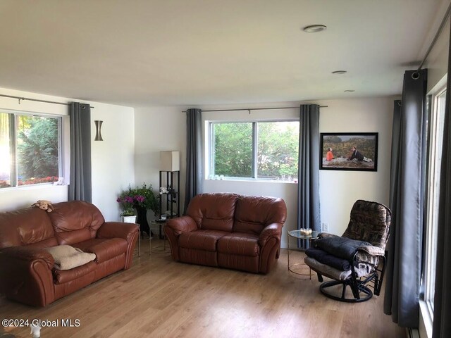 living room featuring light wood-type flooring