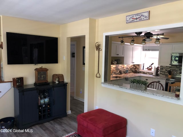 living room with sink and dark wood-type flooring