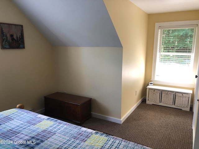 carpeted bedroom featuring lofted ceiling