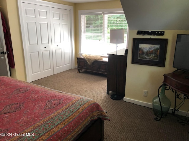 carpeted bedroom with a closet