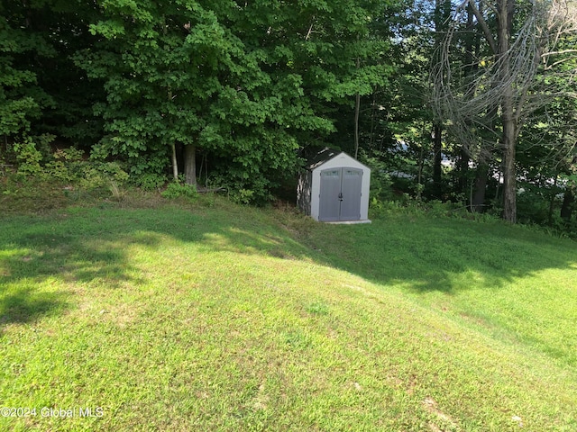 view of yard featuring a shed