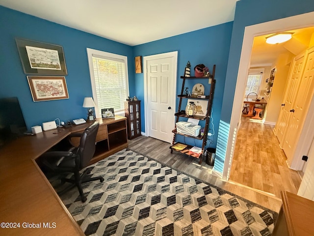 office space with hardwood / wood-style flooring