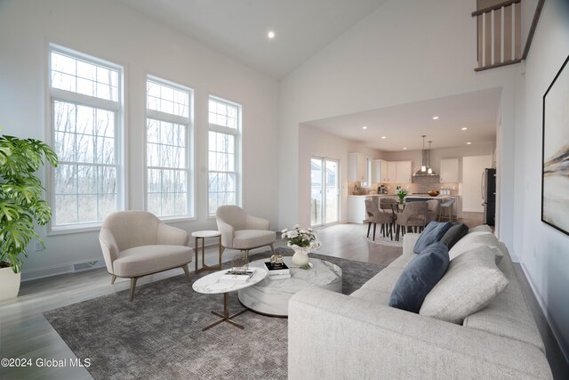 living room featuring light hardwood / wood-style floors and high vaulted ceiling