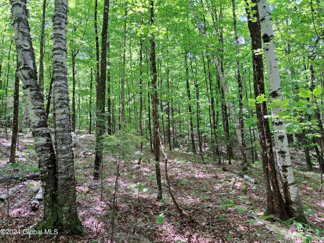 L1.1 Rte 28, Johnsburg, NY 12853 - photo 1