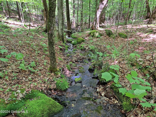 L1.1 Rte 28, Johnsburg, NY 12853 - photo 2