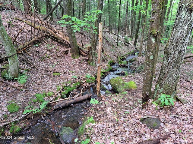 L1.1 Rte 28, Johnsburg, NY 12853 - photo 4