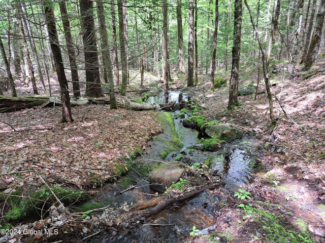 L1.1 Rte 28, Johnsburg, NY 12853 - photo 6